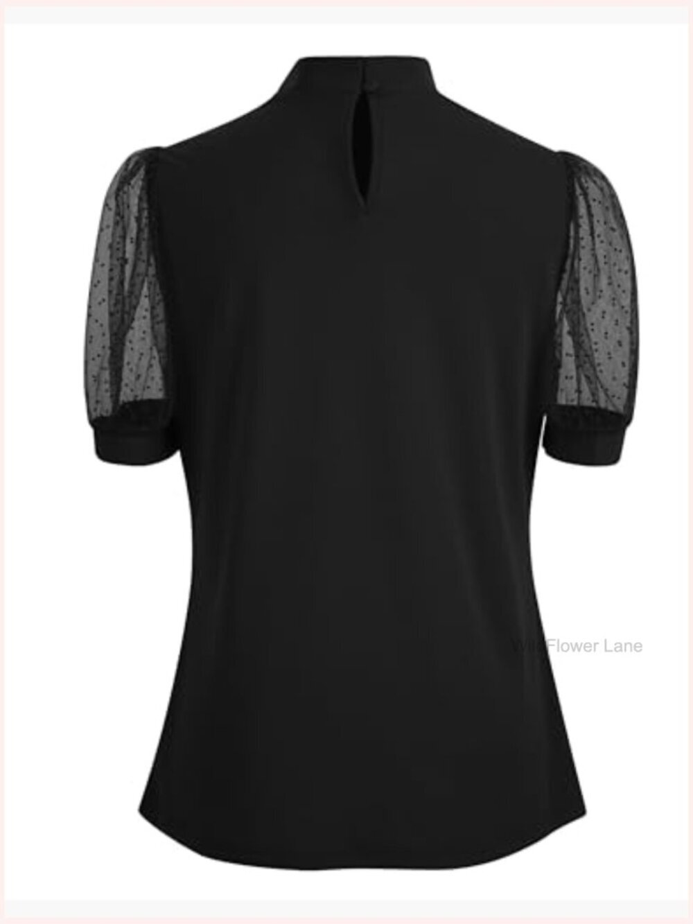 Clergy Shirt Tab Insert Collar Short Sheer Sleeve Bowknot Blouse - Picture 3 of 6